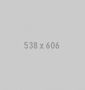 538x606