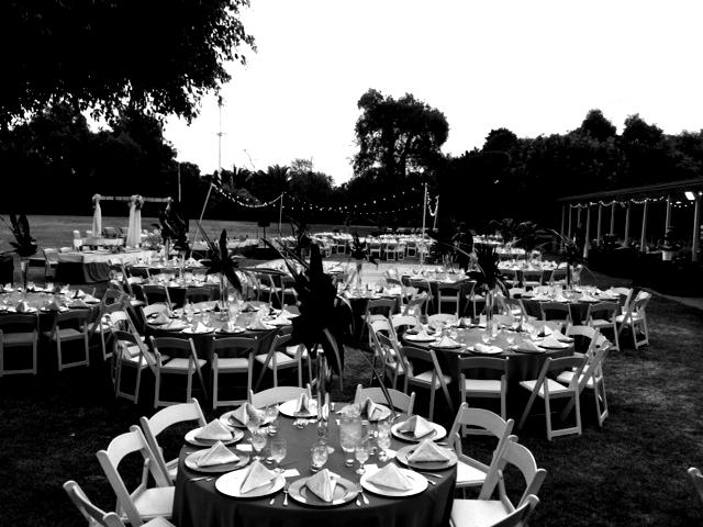 LARGE_1_hollinstropicalweddingreceptionatswisspark-may92014-blackwhite